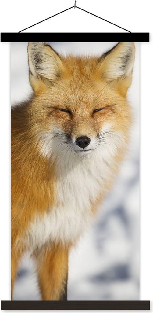 MuchoWow Textilposter Fuchs - Schnee - Rot 60x120 cm mit schwarzem Rahmen - Magnete