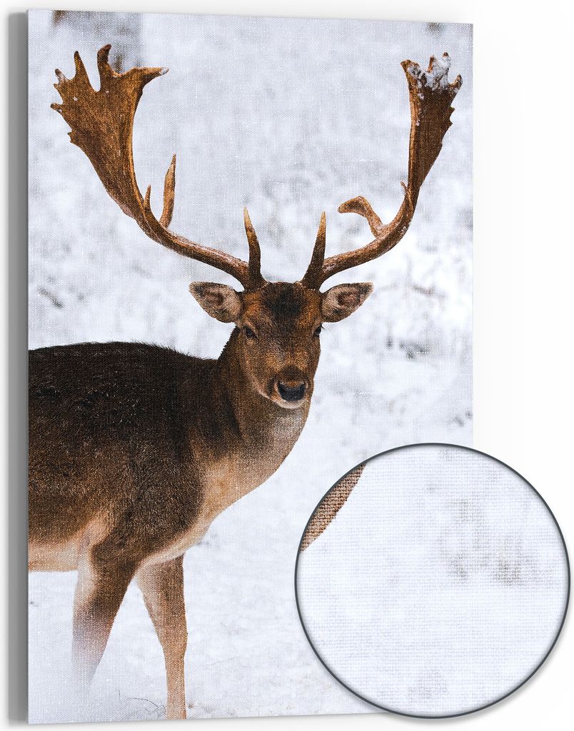 DEQOART Hybrid Leinwand Bild 60x90 cm 'Majestät im Schnee' Wandbild Glas flach modern