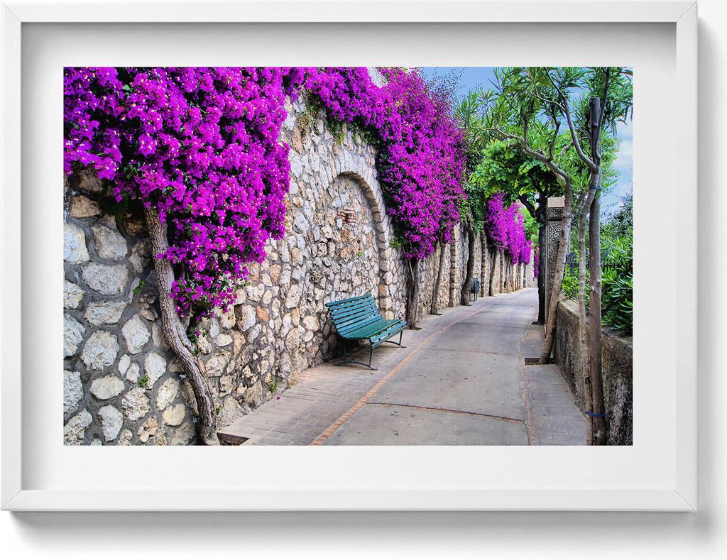 Straße mit Blumen auf Capri, Italien– Wandbild mit Rahmen – Gerahmtes Bild – Wanddekoration – 70x50 cm – Weiß Rahmen