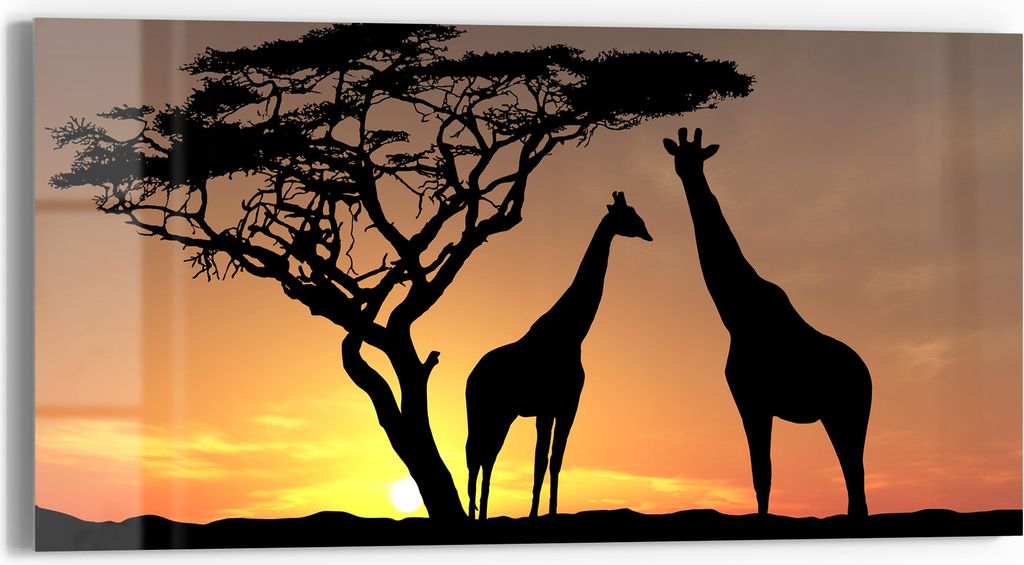 DEQORI Glasbild Echtglas 60x30 cm 'Afrikanische Eleganz' Wandbild Bild modern Deko