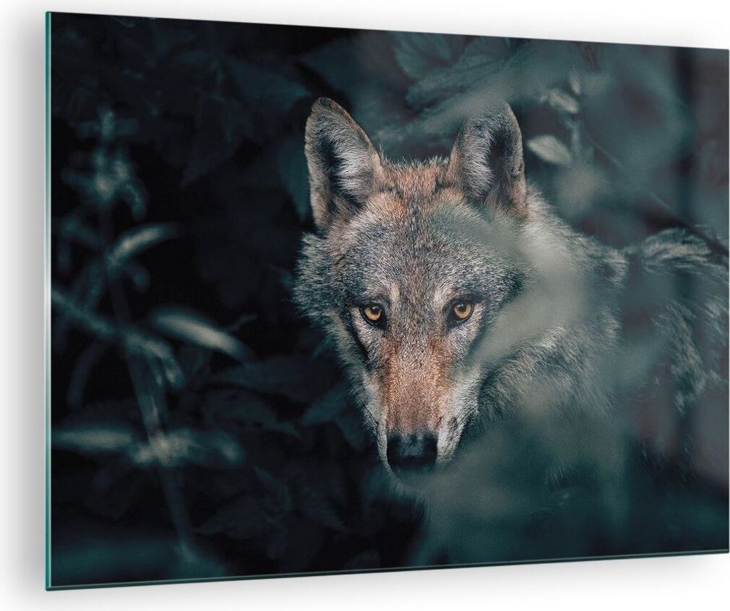 Bilder auf glas - Einteilig - Wolf Wald Raubtier - 70x50cm - Glasbilder - Wandbilder - Bilder - zum Aufhängen bereit - Wanddekoration aus Glas - G...