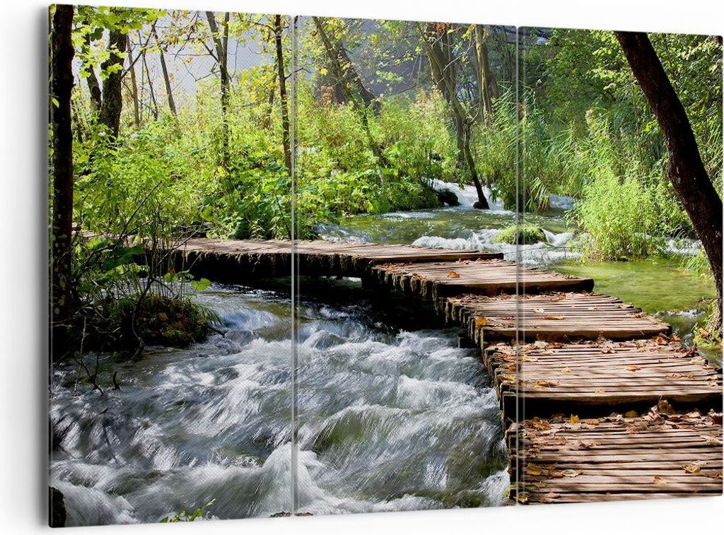 Bild auf Leinwand - Leinwandbild - Park natur grün bäume - Produktbild 