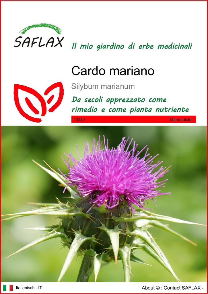 SAFLAX  - Cardo mariano - 75 semi - Silybum Immagine del prodotto 