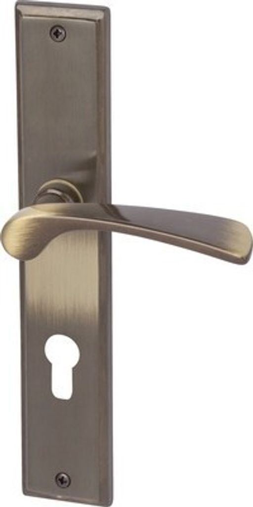 A door handle set with a keyhole plate.