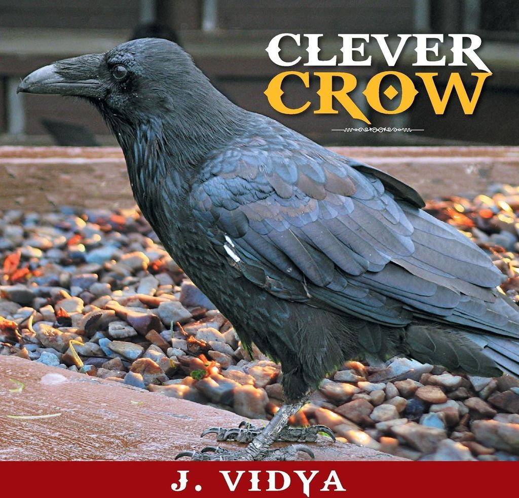 Clever Crow
