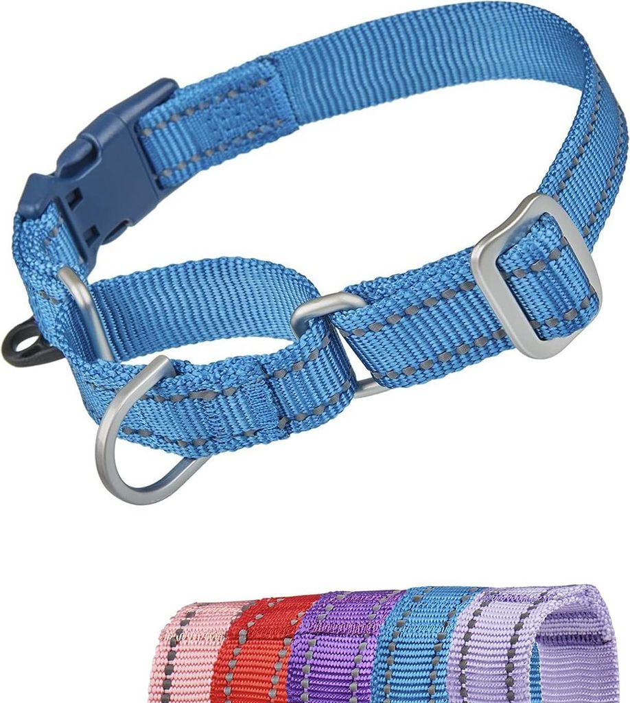Reflektierendes Anti-Zieh Martingale Halsband für Hunde - Sichere Schnellverschluss-Schnalle, Entkommenssicher, Ideal für Kleine Hunde