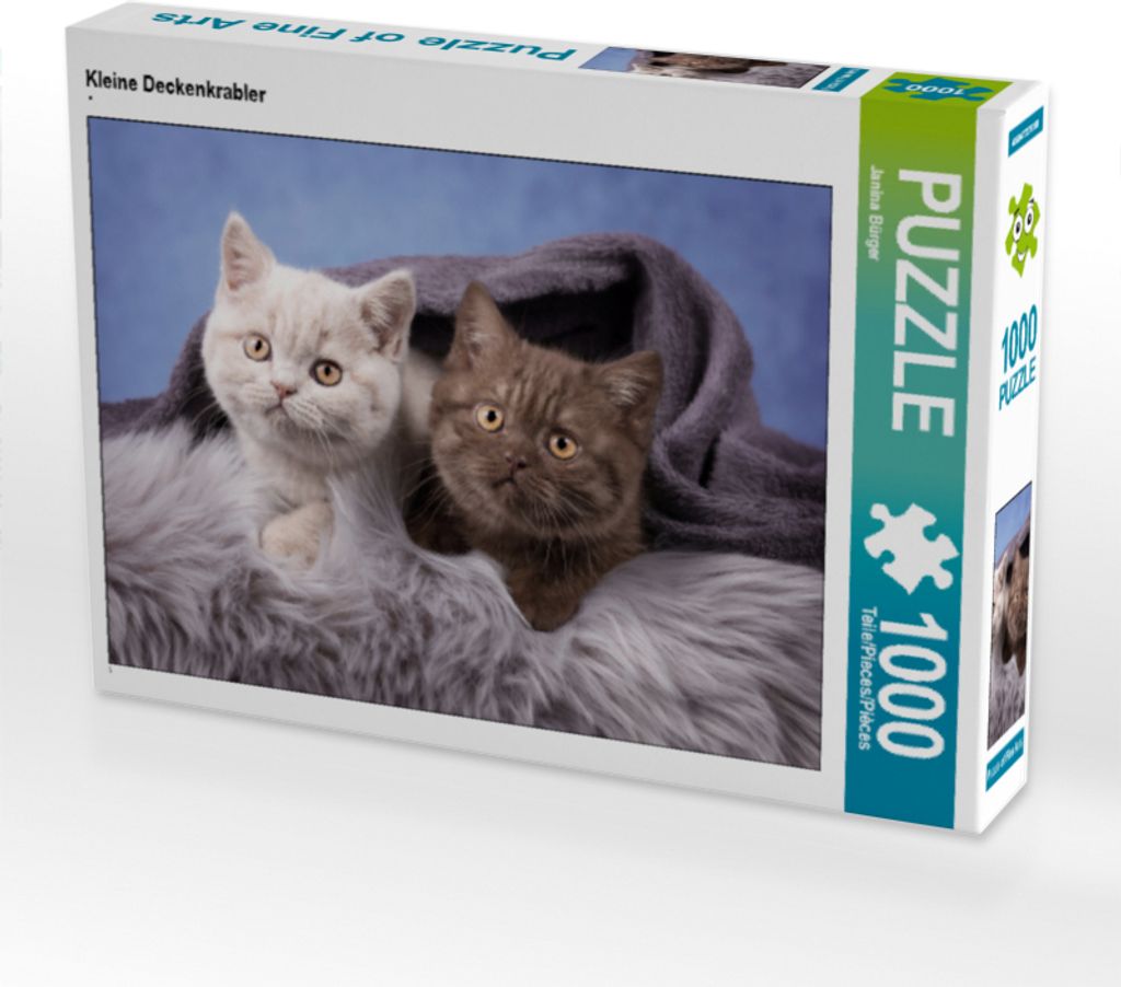 CALVENDO Puzzle Kleine Deckenkrabler | 1000 Teile Lege-Größe 64x48cm Foto-Puzzle für glückliche Stunden