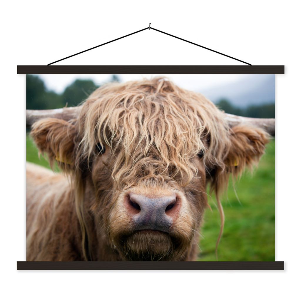 MuchoWow Textilposter Schottische Highlander - Gras - Wald 60x45 cm mit schwarzem Rahmen - Poster Schlafzimmer
