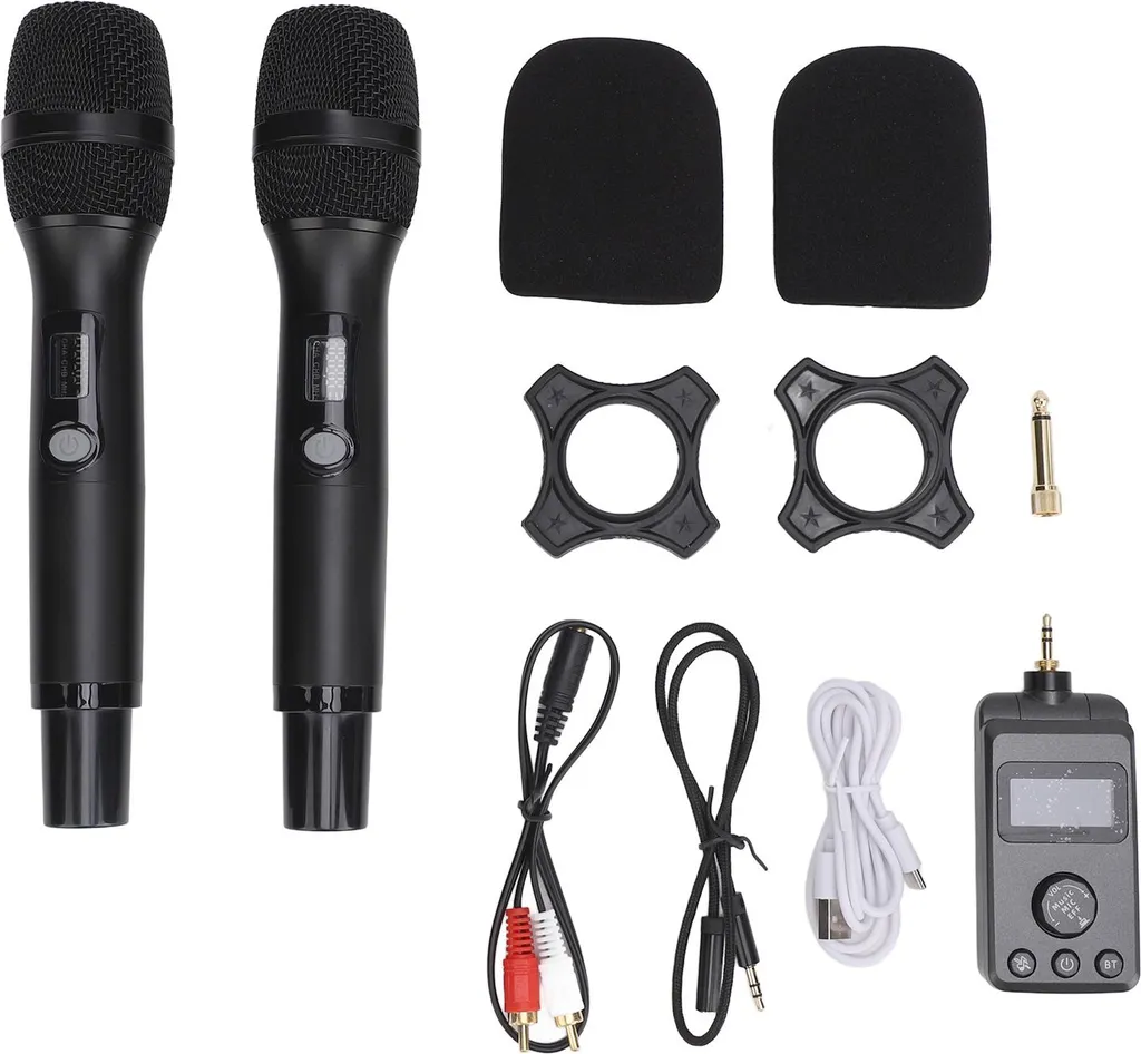 Double micro sans fil pour chant et conférence UHF avec récepteur USB