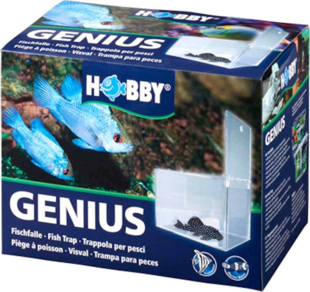 Hobby Genius Fischfalle, 21x13x15 cm