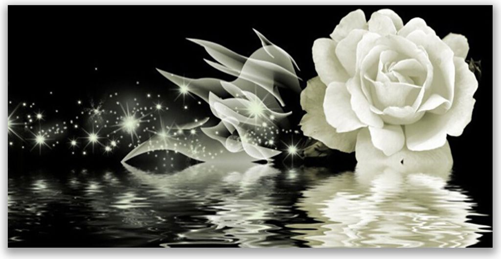 Glasbilder 140x70 Wandbild Druck auf Glas Rose Pflanzen Produktbild 