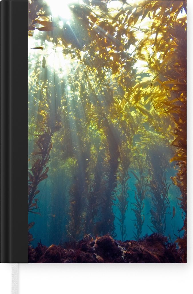 MuchoWow Notizbuch Tagebuch Haushaltsbuch Notebook A5 Sonnenlicht und Pflanzen unter Wasser - Notizblock - Notizheft - Notebook - Schreibblock - ...