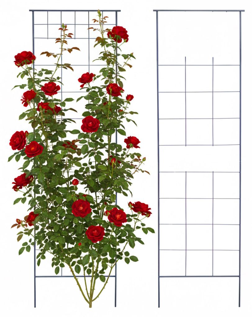 Relaxdays Klimrek, set van 2, afmetingen 193 x 58 cm, Productafbeelding 