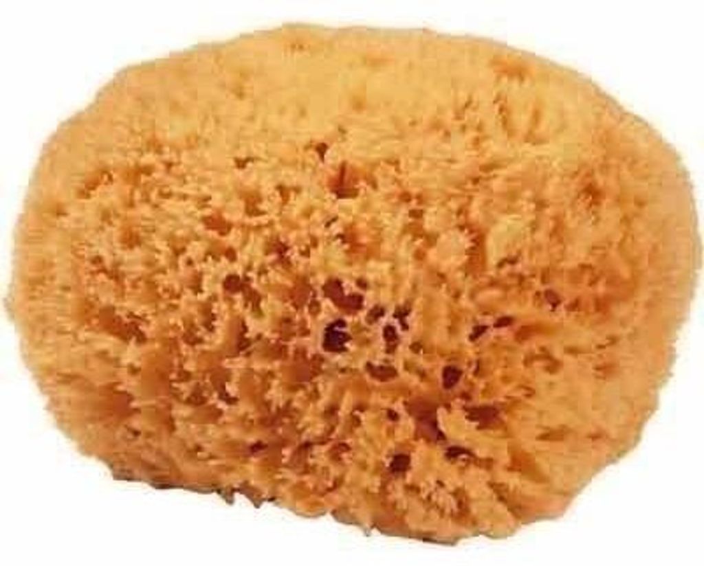 Naturschwamm Grass 18-20, ca. 18-20 cm Produktbild 