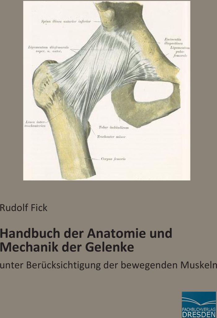 Handbuch der Anatomie und Mechanik der Gelenke