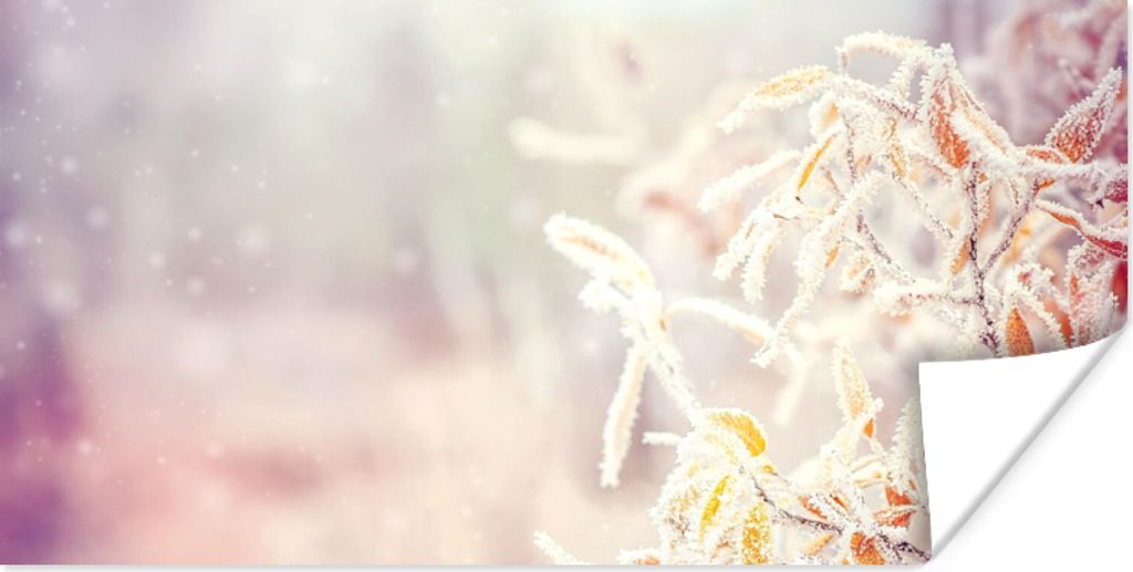 MuchoWow Poster Winter - Äste - Schnee - Natur 120x60 cm - Bild
