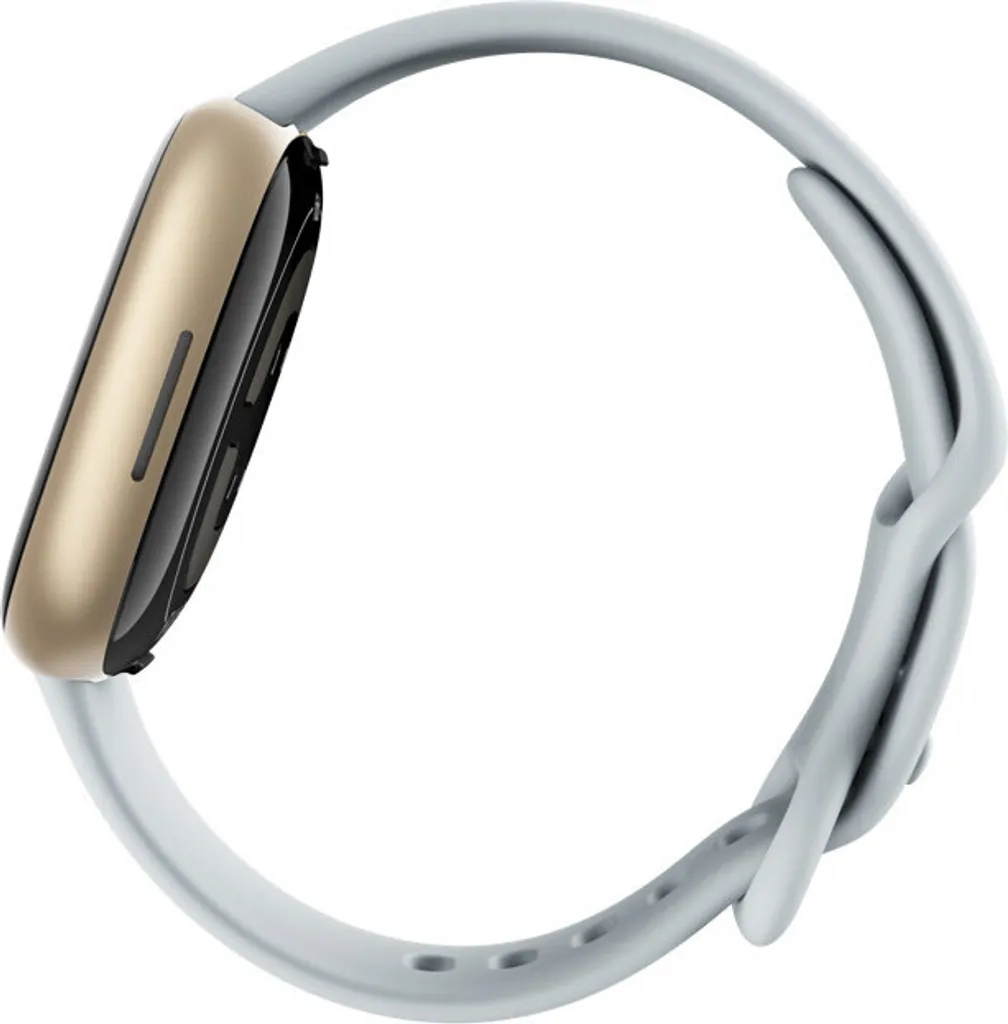 Fitbit Sense 2 FB521GLBM avec Capteur de Stress et ECG Soft Gold Blue - 16
