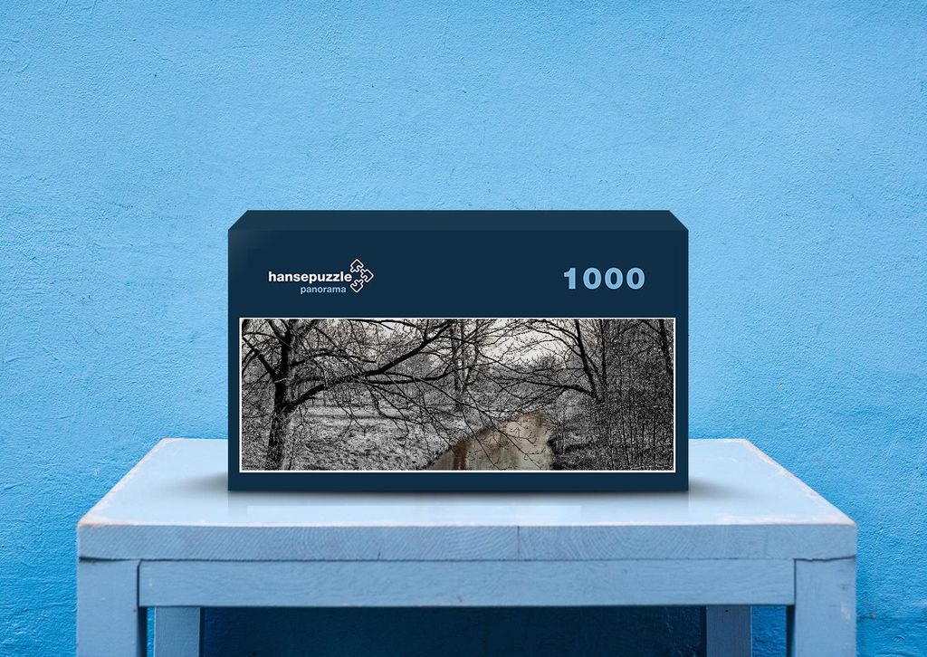 hansepuzzle 37350 - Winterlandschaft Puzzle, 1050 Teile, Natur, 60,0 x 46,0cm mit hochwertiger Aufbewahrung, Kartonbox & Beutel