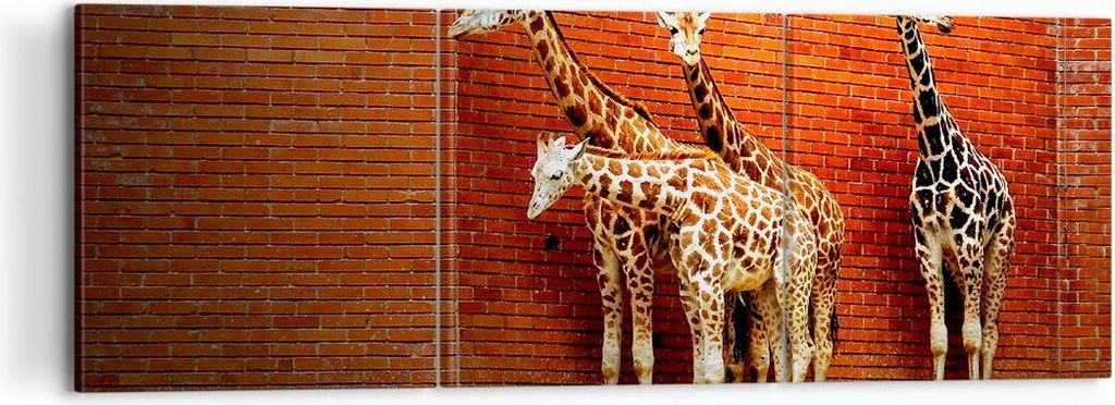 Bild auf Leinwand - Leinwandbild - Tiere Giraffen Zoo Familie - 120x40cm - Wand Bild - Wanddeko - Leinwanddruck - Bilder - Kunstdruck - Wanddekorat...