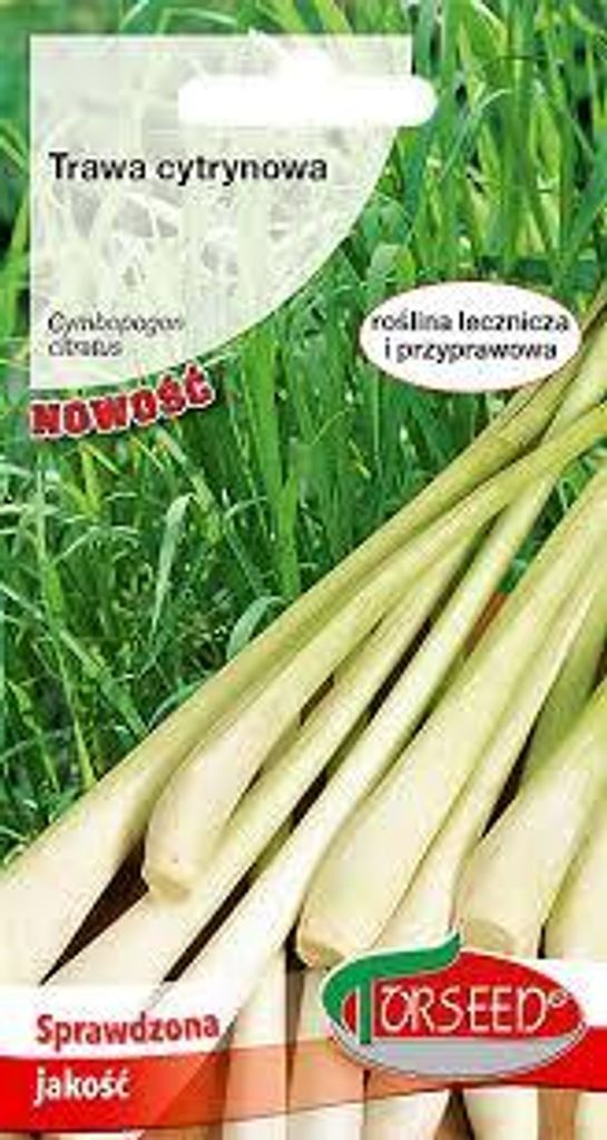 Zitronengras, Cymbopogon citratus 0.1g - Torseed