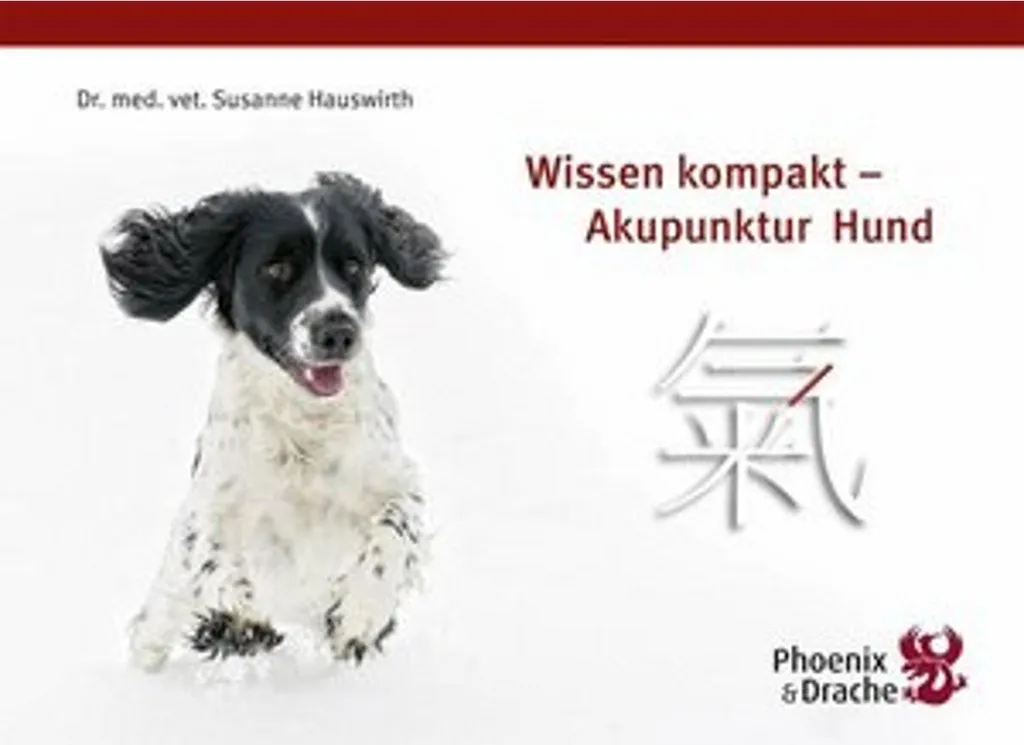 Soulager les douleurs du chien : acupuncture Wissen kompakt efficace