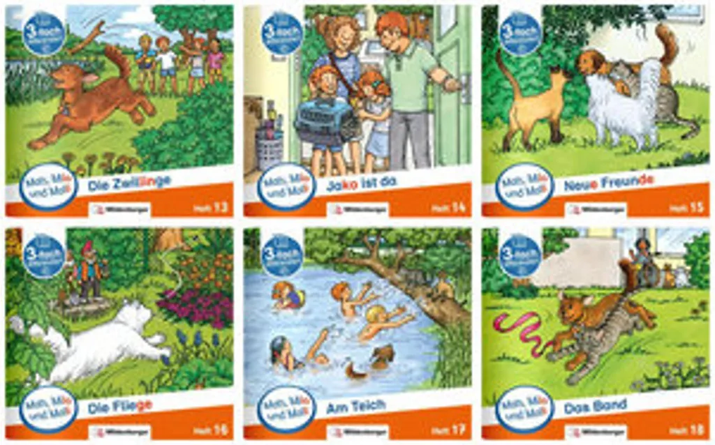 Méthode de lecture Mats Mila und Molli Niveau C Pack de 6