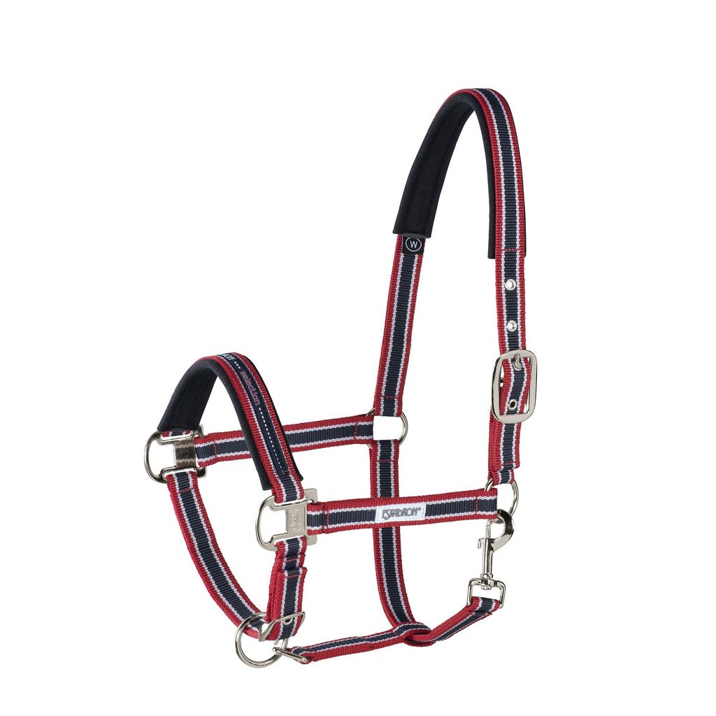 Eskadron Halfter Dornschnalle BASIC Selection Pony ( P2 ) chili-white-navy