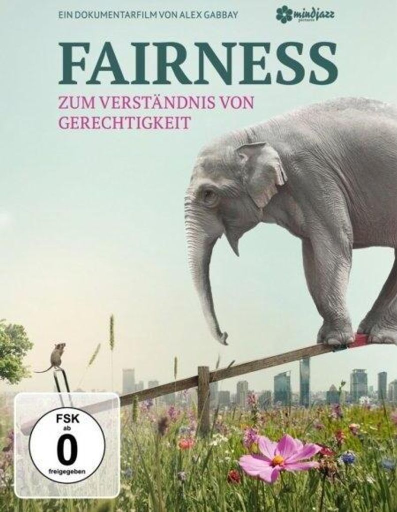 Fairness - Zum Verständnis von Gerechtigkeit