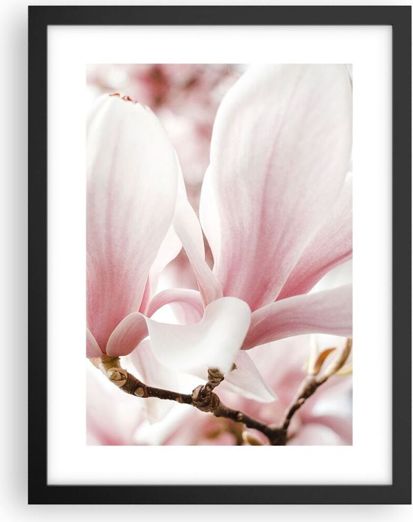Gerahmtes Poster - Schwarzer Rahmen - Zweig Magnolie Blume - 30x40 cm - Wand Bild - Wanddeko - Wandbilder - Kunstposter - Wandposter - Bilderrahmen...