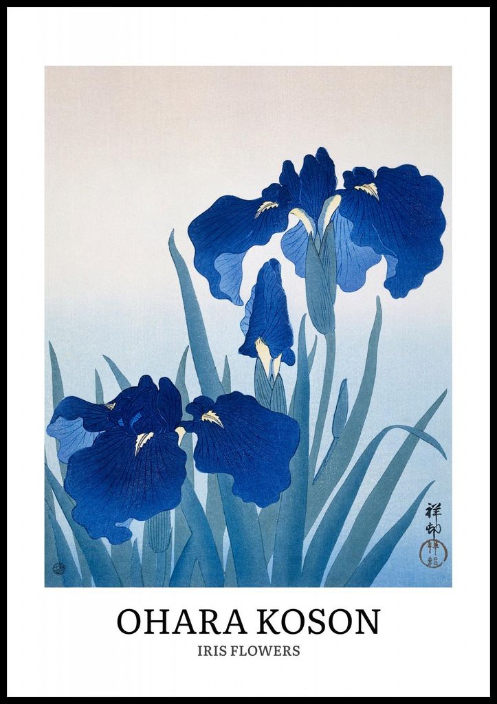 Plakat 70x100cm Design Iris Blumen, Koson Vintage für das Wohnzimmer