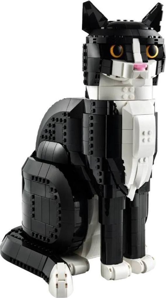 Lego LEGO 21349 Image du produit 