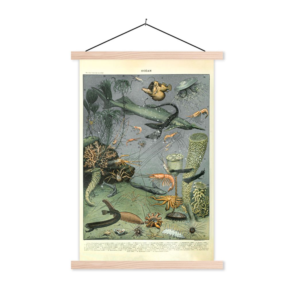 MuchoWow Textilposter Meerestiere - Korallen - Natur 60x90 cm mit holzfarbenen Rahmen - Textil