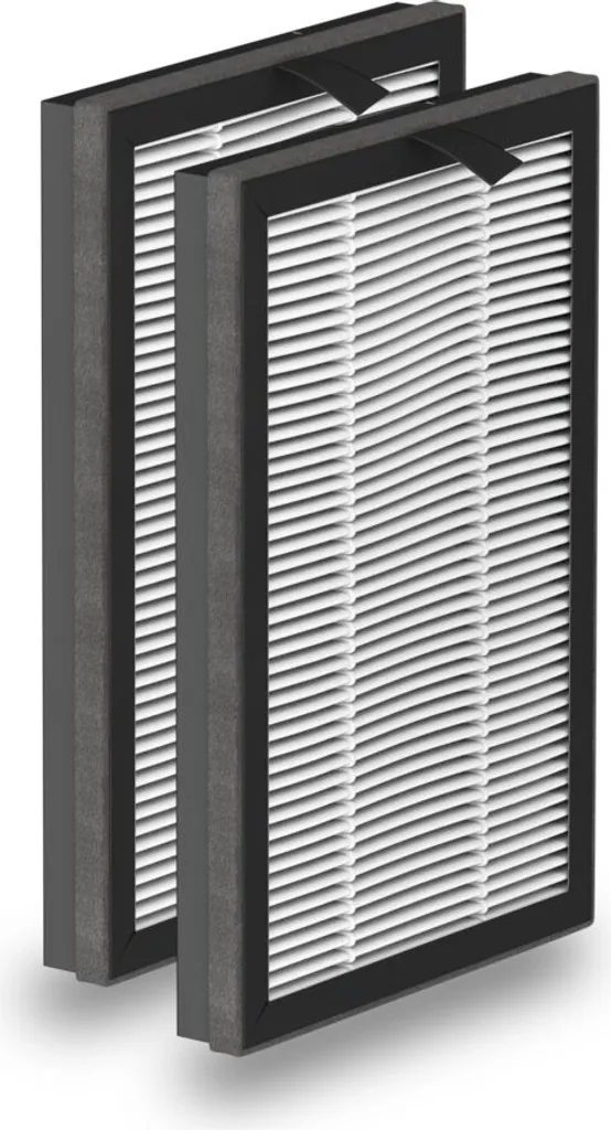 Rowenta - Xd6520F0 Filtro Antiparticolato Ad Alta Densità X2 Eclipse R - Xd6520F0