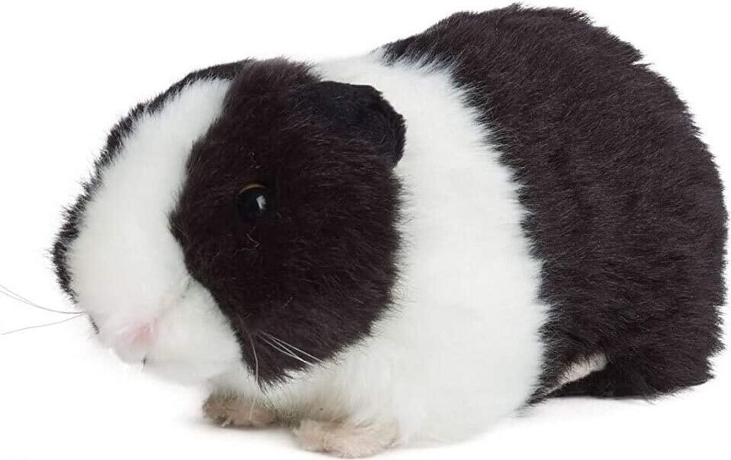 Living Nature Meerschweinchen schwarz 18cm ohne Sound Produktbild 