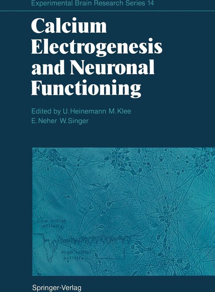 Calcium Electrogenesis and Neuronal Functioning