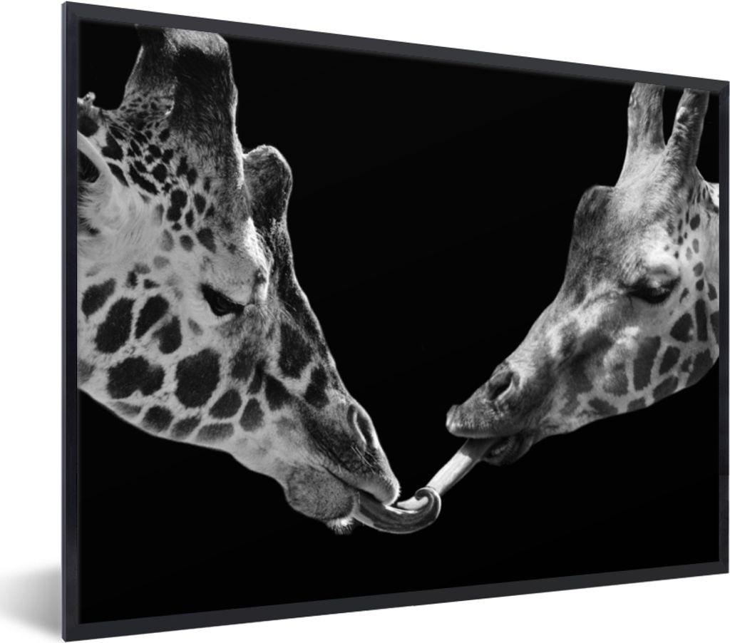 MuchoWow Gerahmtes Poster Tiere - Schwarz - Giraffe - Weiß - Porträt 40x30 cm - Poster mit Schwarzem Bilderrahmen Wandposter Rahmen Foto Bilder...