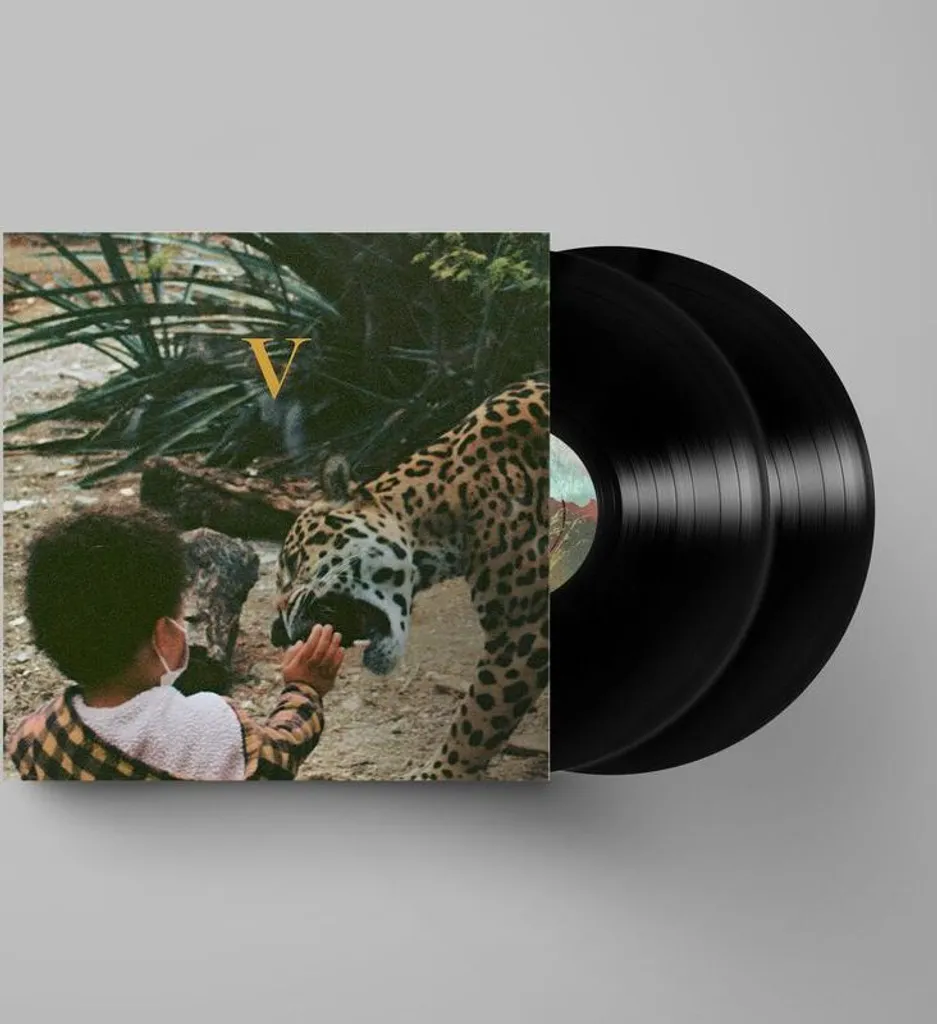 Unknown Mortal Orchestra V Double Vinyle Bleu Édition Limitée 2 LP - 3