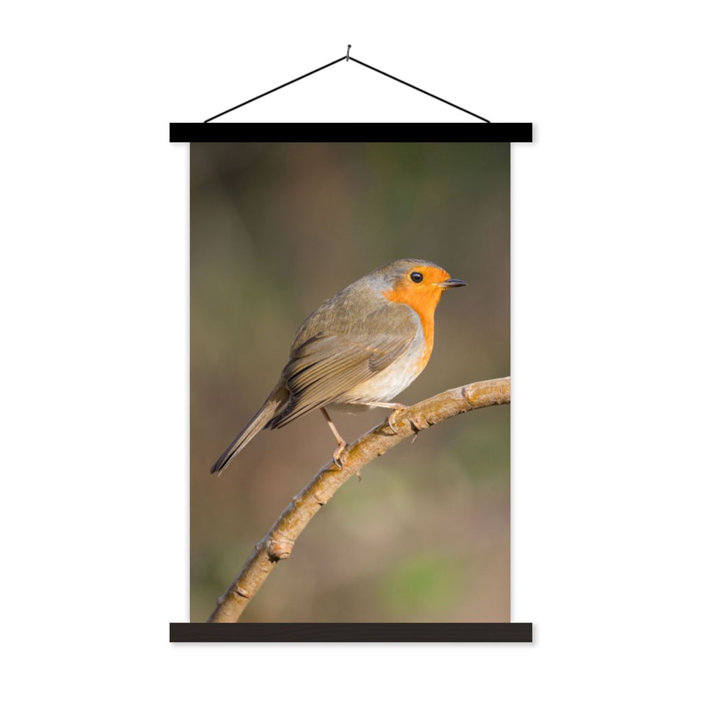 MuchoWow Textilposter Rotkehlchen - Vogel - Natur 60x90 cm mit schwarzem Rahmen - Poster Wohnzimmer
