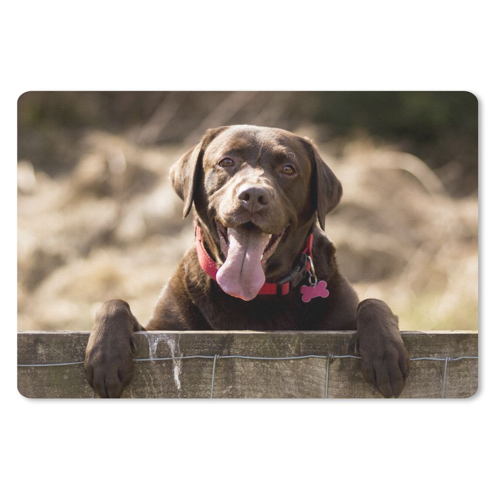MuchoWow Mauspad Mousepad Labrador Retriever schaut über einen Zaun 27x18 cm - Mousepads - Maus Mat - Pad - Mausunterlage - Büroartikel - Desk ...