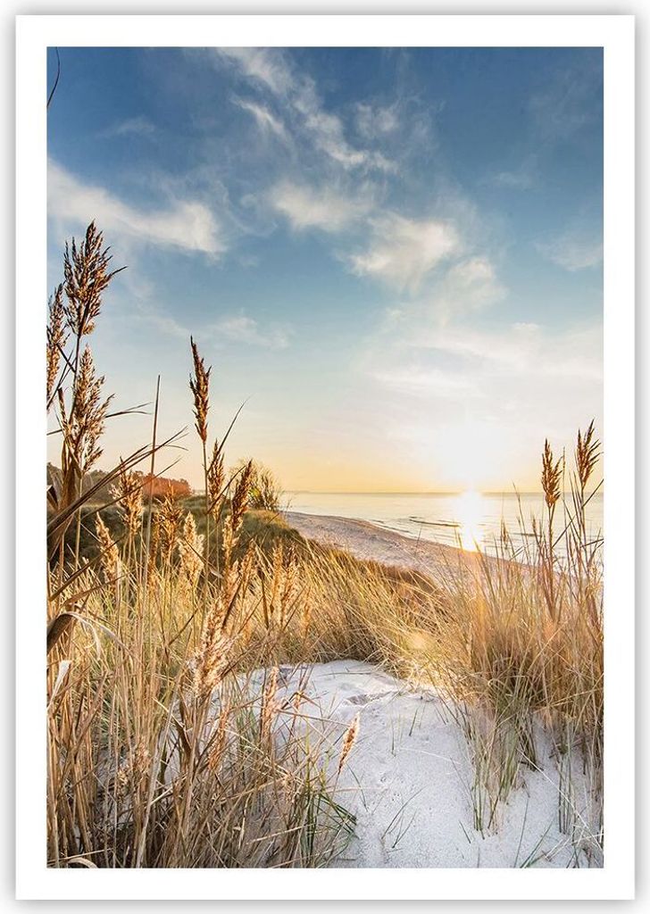 Poster - Poster ohne Rahmen - Ähren Küste Sonne - 70x100 cm - Wand Bild - Wanddeko - Wandbilder - Kunstposter - Wandposter - Bilder - Kunstdruck ...