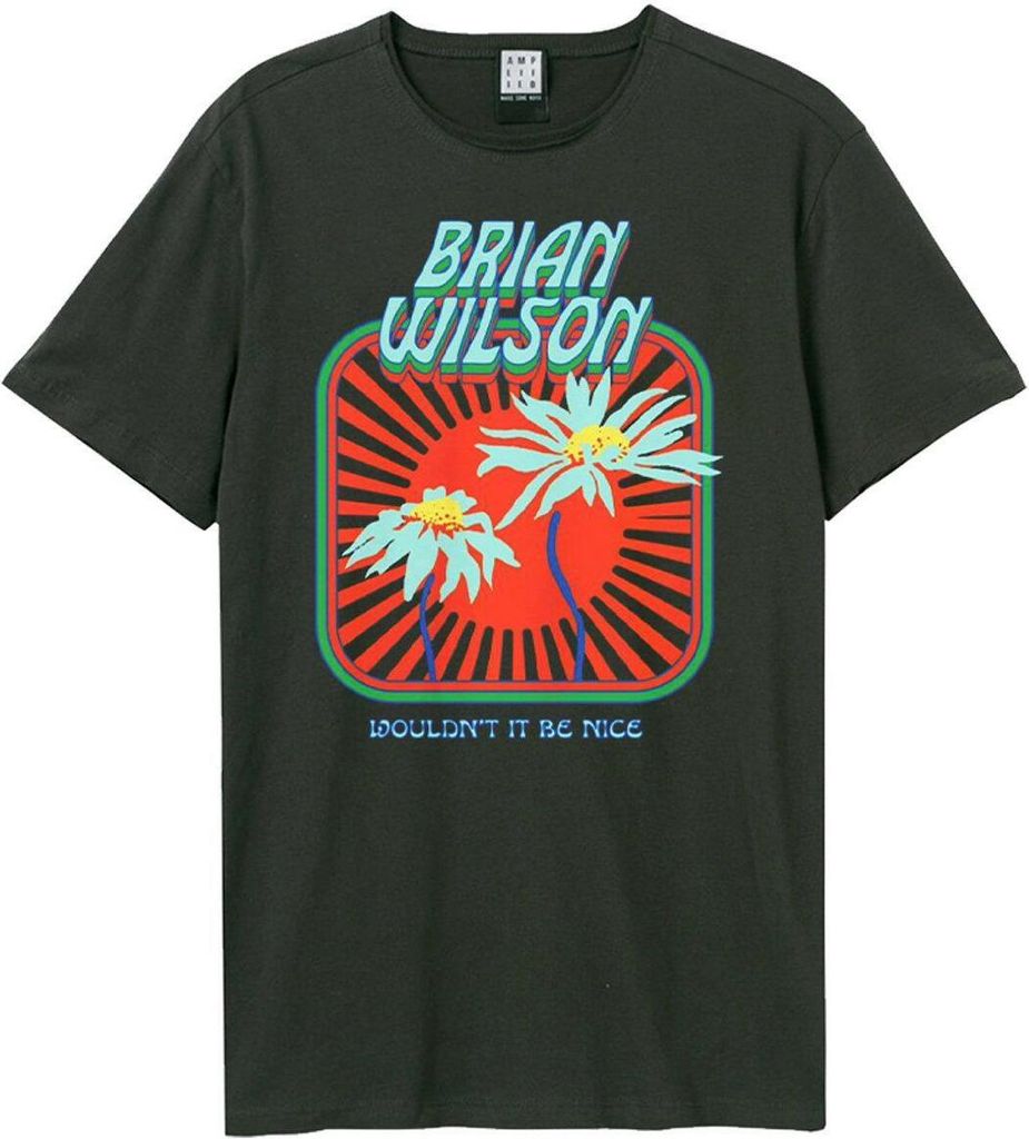 Amplified - "Wouldn ́t Be Nice" T-Shirt für Herren/Damen Uni GD1079 (3XL) (Holzkohle)