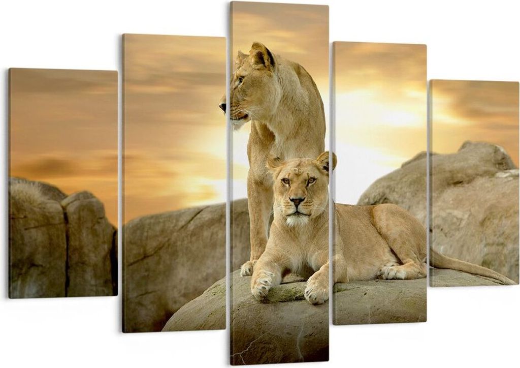 Bild auf Leinwand - Leinwandbild - Löwen Sonnenuntergang Produktbild 