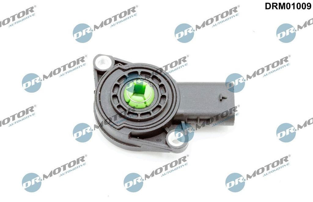 DR.MOTOR AUTOMOTIVE Saugrohrklappensensor Saugrohrklappen-Positionssensor DRM01009 für VW GOLF VI (5K1)