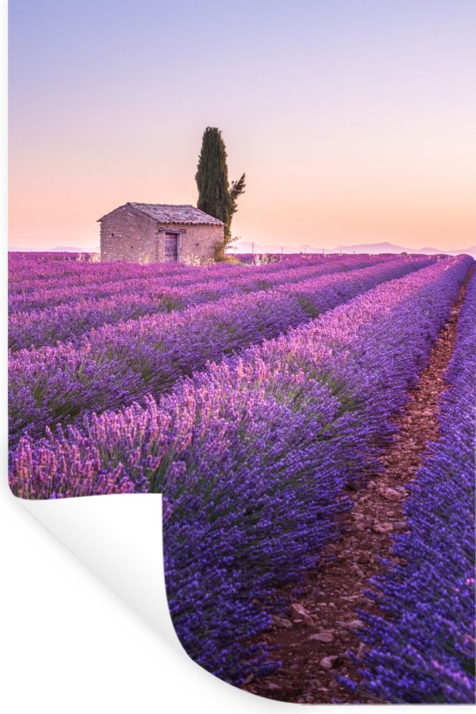 MuchoWow Wandtattoo Wandsticker Wandaufkleber Lavendel - Sonnenuntergang - Lila - Blumen 60x90 cm Selbstklebend und Repositionierbar - Sticker - ...