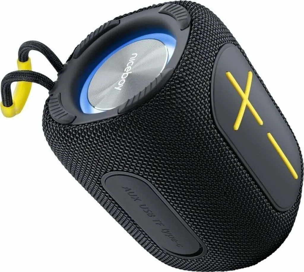 Niceboy RAZE Supersonic Enceinte Bluetooth Noir : Son Pur sans Fil