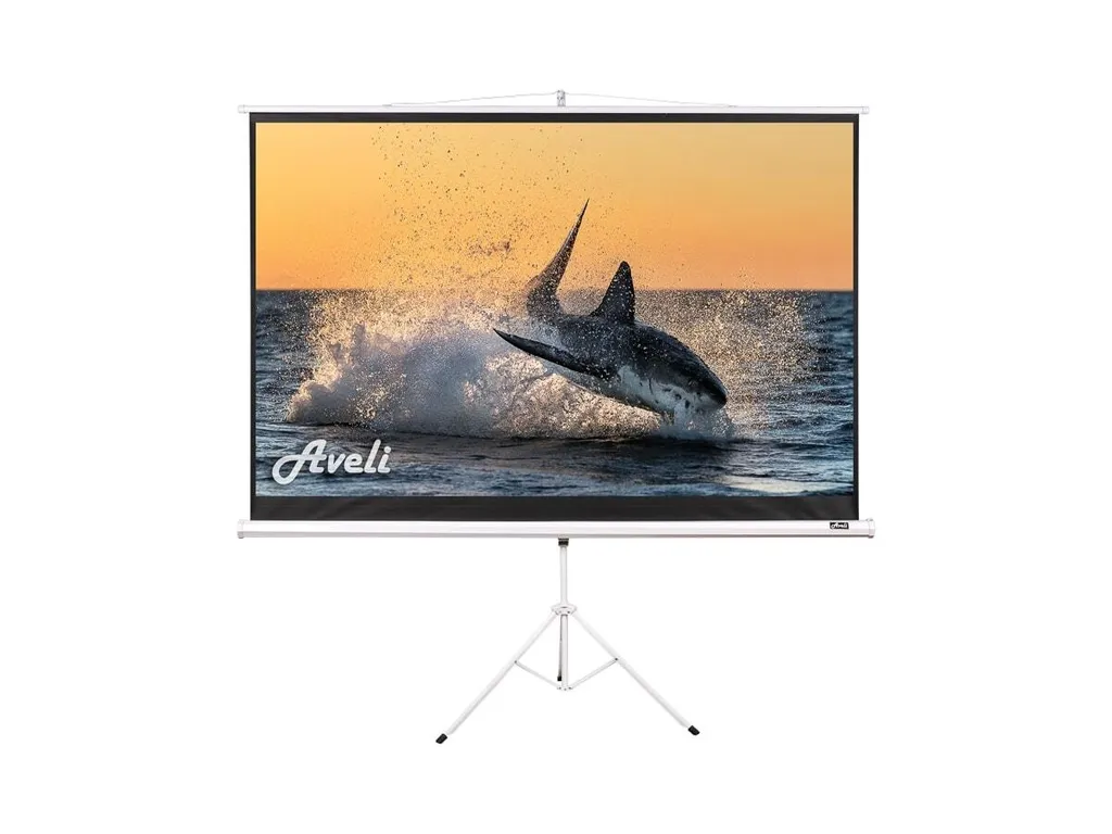 Ecran de projection portable 200x125 cm idéal pour vos présentations