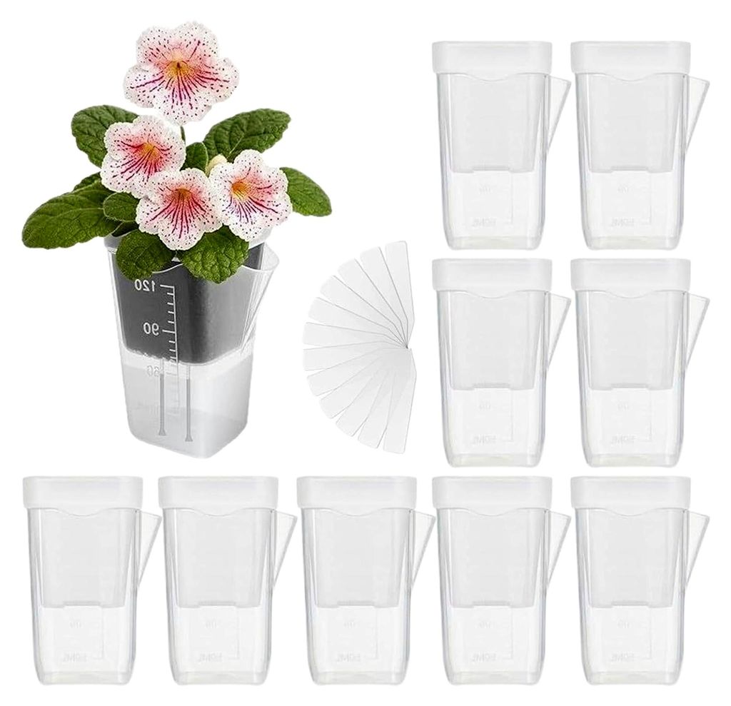 Transparente Selbstbewässerungstöpfe,10 Mini mit Reservoir Entwässerungslöchern,Transparente Blumentöpfe Mit Wasserspeicher | Für Innen- und ...