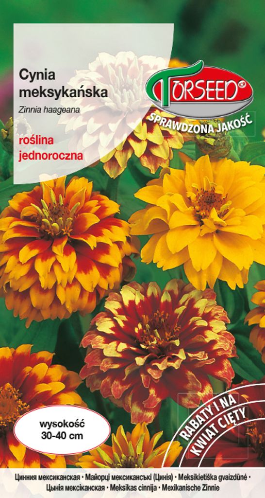 Samen von Zinnia mexicana mix 1g - Torseed Produktbild 