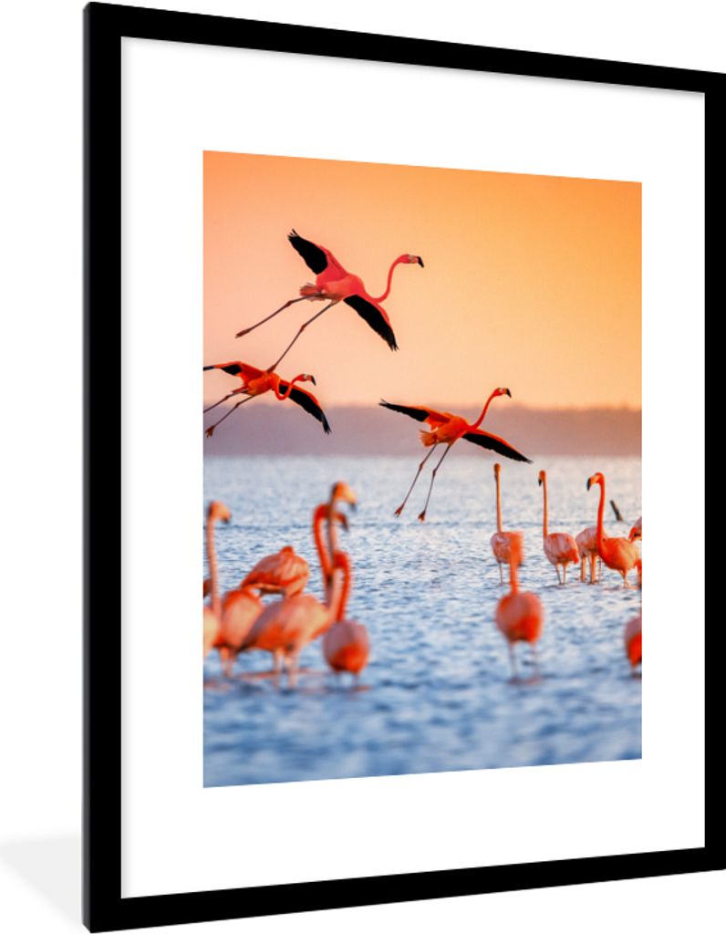 MuchoWow Gerahmtes Poster Vogel - Flamingo - Wasser - Sonnenuntergang - Rosa 60x80 cm - Poster mit Schwarzem Bilderrahmen Wandposter Rahmen Foto ...