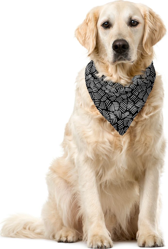 ABAKUHAUS Abstrakt Haustier Bandana, Stripes Dashes Unregelmäßige, 55x55 cm, Charcoal Grau und Weiß